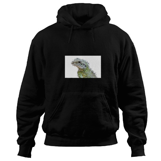 Chameleon Pet 1 Hoodies