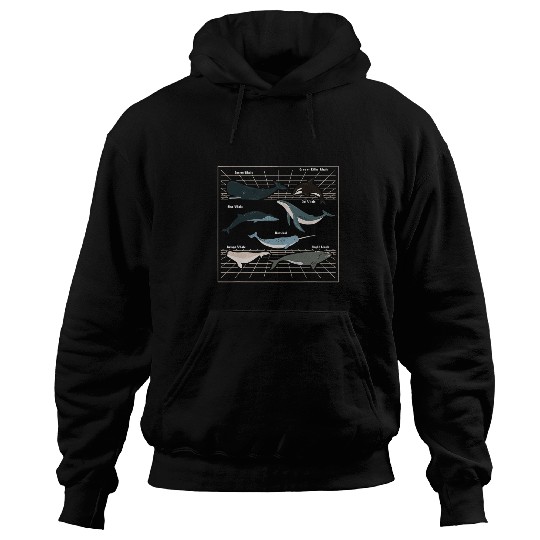 Whale Pet Types of Whales Marine Mammal Sea Life Marine Biologist Hoodies