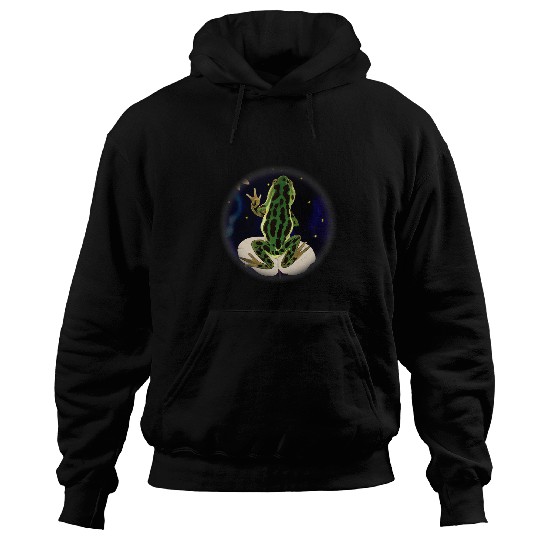 Frog Pet starry night frog sitting on lily pad stars in background Hoodies