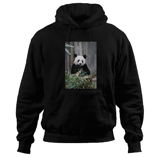 Panda Pet Eating Bamboo Leaves Hoodies