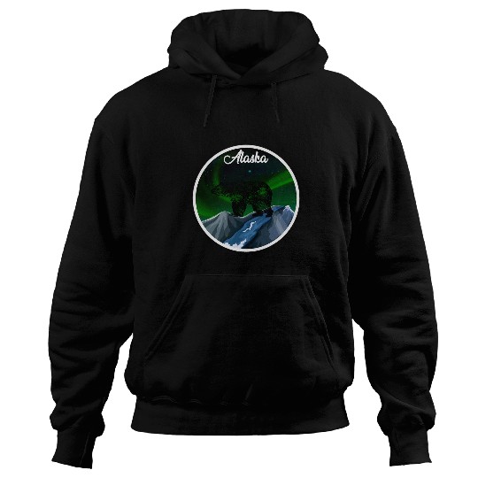 Bear Pet Alaska Northern Lights Bear Hoodies