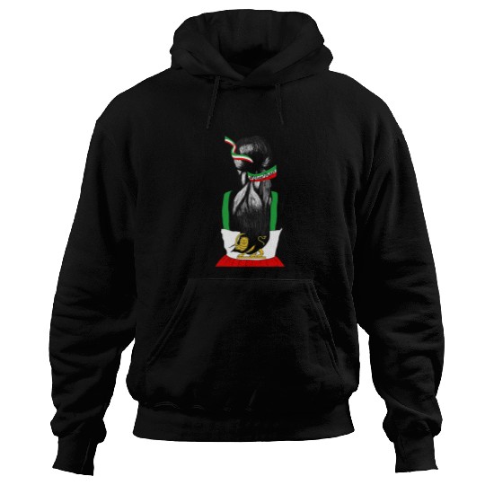 Lion Pet Iranian Flag Female Hair Support Women of Iran LION SUN FLAG Hoodies