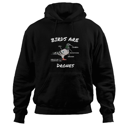 Birds Are Drones Conspiracy And Heory Hoodies
