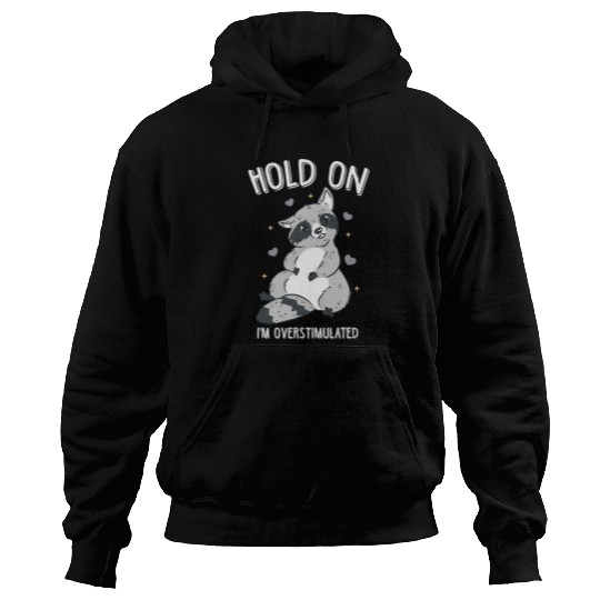 Raccoon Pet Hold On I m Overstimulated Funny Retro Raccoon Animal Hoodies