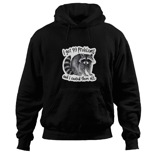 Raccoon Pet I Got 99 Problems And I Caused Them All Funny Raccoon Hoodies