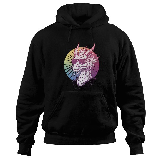 Dragon Pet Frost Breath Hot Shades Icy Cool Dragon Hoodies