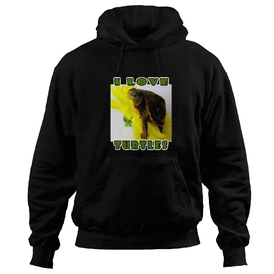 Turtle Pet I Love Turtles Funny Cute Box Turtle Girls Boys Kids Youth Hoodies