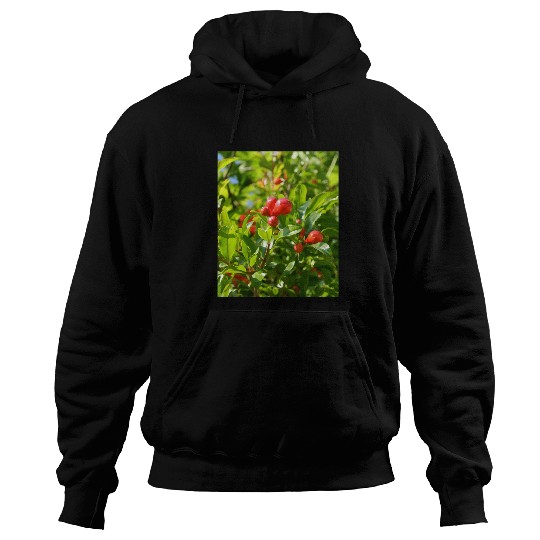 Pomegranate Closed Red Flower Bud Photography Hoodies