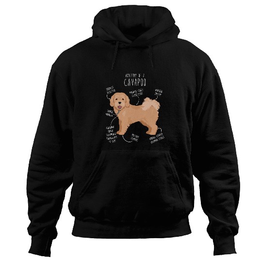 Cavapoo Dog Anatomy Cute Funny Tan Cavoodle Pet Mom Dog Dad 2 Hoodies