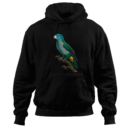 Parrot Tropical bird from the rainforest 25 Hoodies