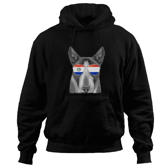 Miniature Bull Terrier Dog Paraguay Flag Sunglasses Hoodies
