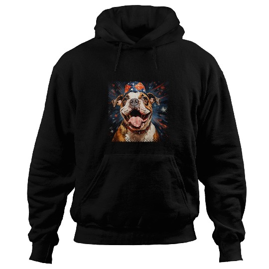Retro Usa National Day Fireworks Celebration Hoodies