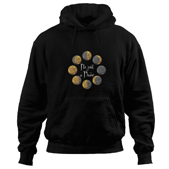 Moon Phases Astronomy Astronomer Spiritual Psychic Hoodies
