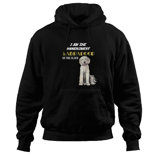 The handsomest labradoodle Hoodies