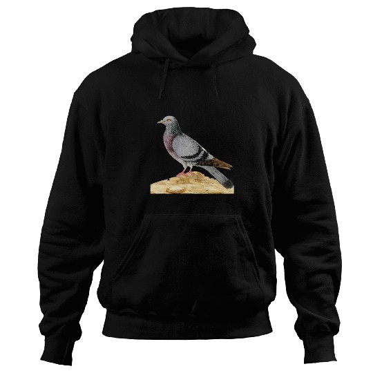 vintages Pigeon Whisperer Trains racing or fancy pigeons Hoodies