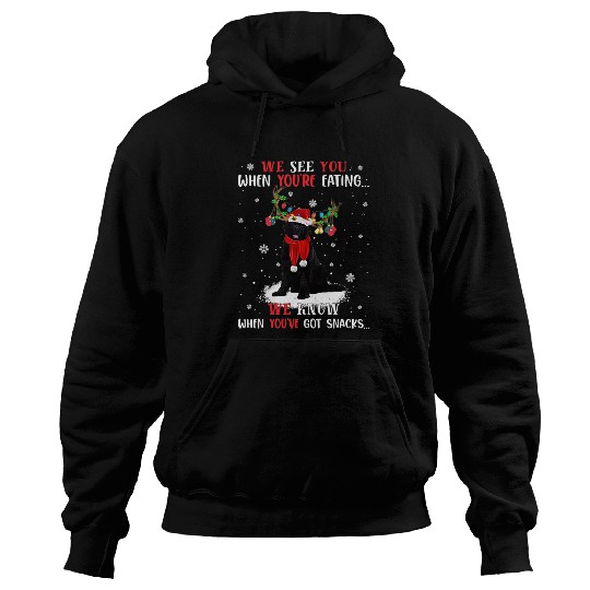We Know When Youve Got Snacks Newfoundland Hoodies