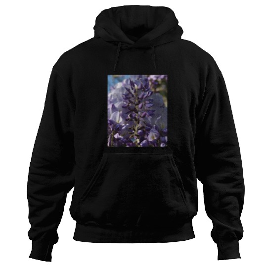 Purple And Lilac Buds Of Blooming Wisteria Photograph Hoodies