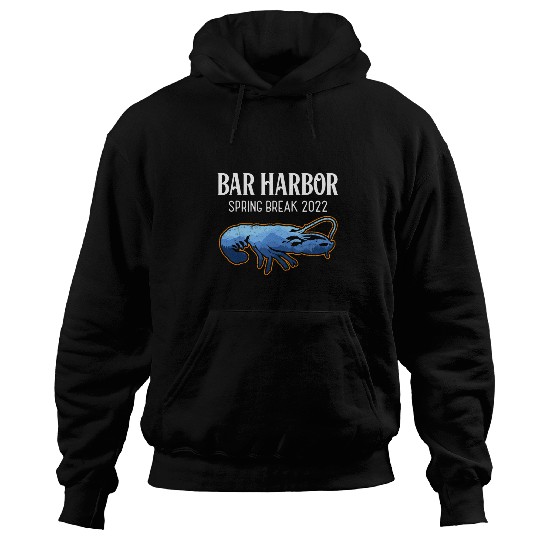 Bar Harbor Spring Break Traveling Vacation Souvenir Hoodies