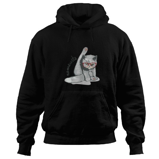 Cute Yoga Cat for Cat Lovers and Yoga Hoodies