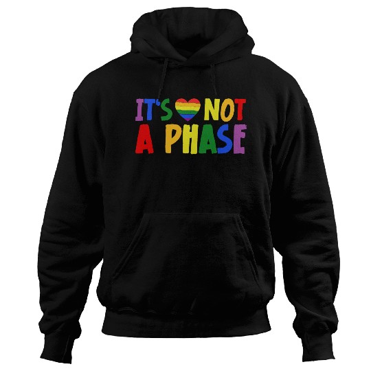 LGBTQIA+ Rainbow Flag Gay Pride It's Not A Phase Hoodies