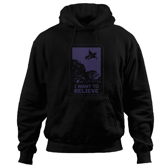 Unicorn "I Want To Believe" UAP Outfit Alien Ufo Hoodies
