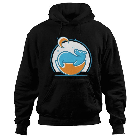 Polar Bear and Moon Hoodies