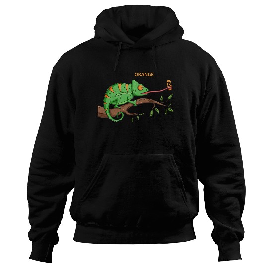 Bitcoin Chameleon BTC logo Crypto lover Hodl Hoodies