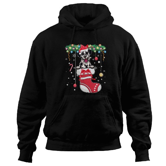 Dalmatian Dog Lover Christmas - Dog Christmas Stoc Hoodies