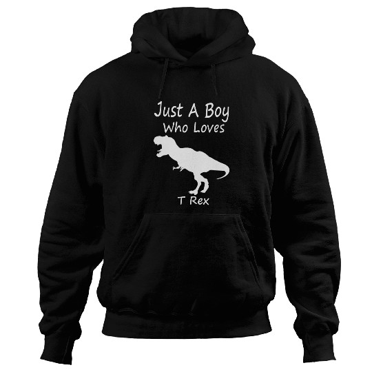 Cool Silhouette Just a Boy Who Loves T rex Hoodies