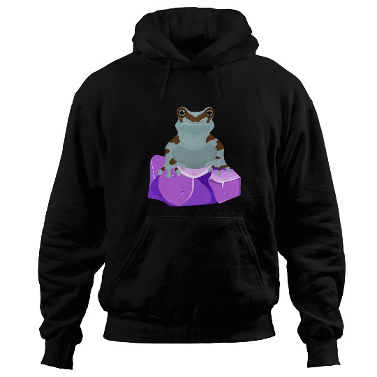 Frog Crystal Amethyst Gemstone For Toad Owners Hoodies