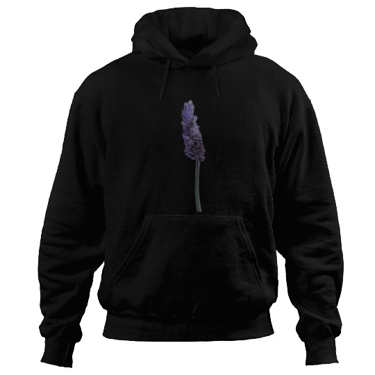 Lavender Flower Illustration Hoodies