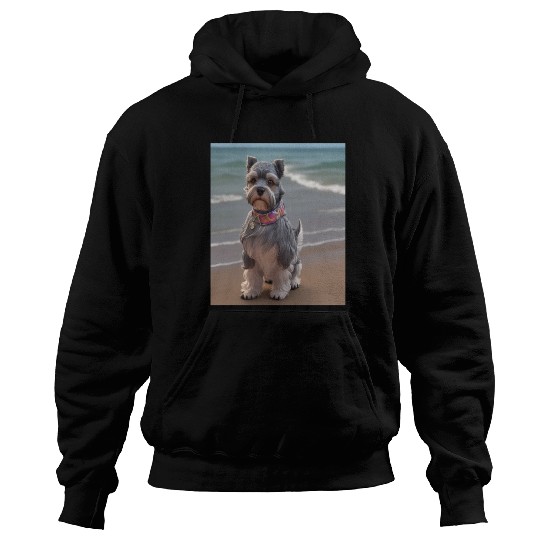 15 Beach Hoodies