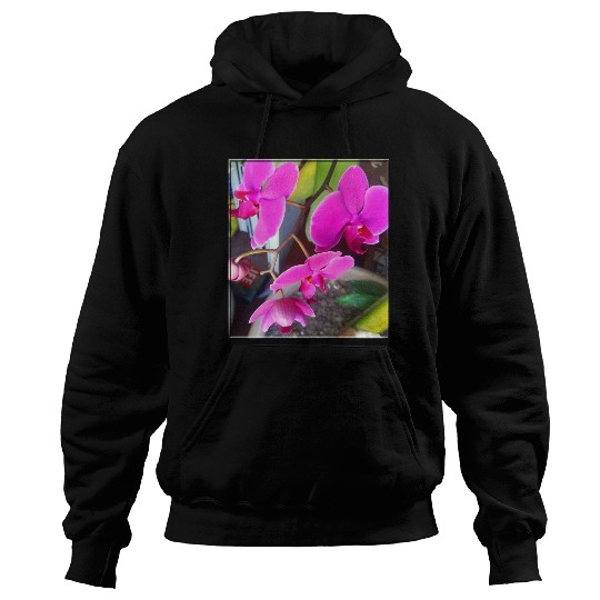 Orchid 1 Hoodies