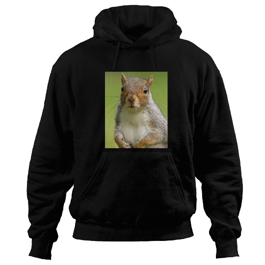 Squirrel Photo Chipmunk Animal Lover Wildlife Pun Hoodies