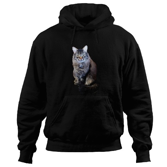 Indie the Cute Cat Hoodies