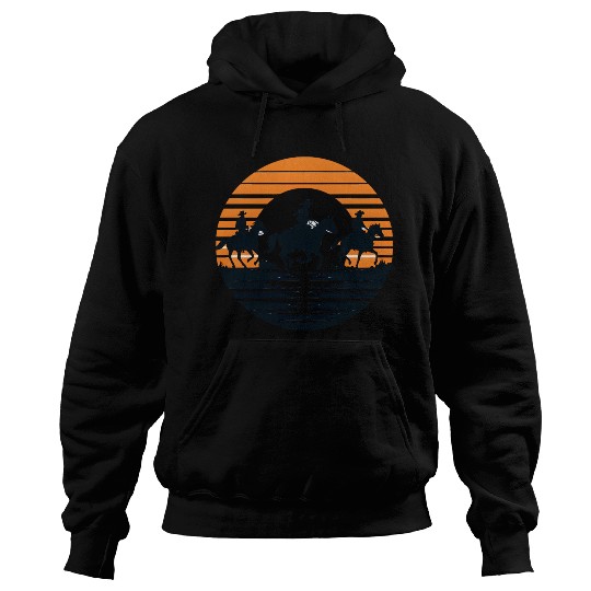 Equestrian Sunset Silhouette Hoodies