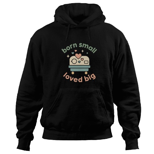 NICU Sibling Preemie Big Brother Big Sister Hoodies