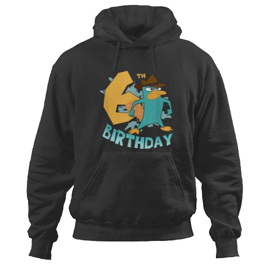 Disneyss Phineas And Ferb Perry Sixth Birthday Hoodies