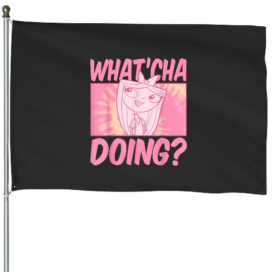 Discover Disney Phineas And Ferb Whatcha Doing 7572 House Flags