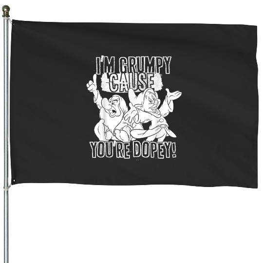 Disney Snow White Grumpy Cause Youre Dopey Graph House Flags
