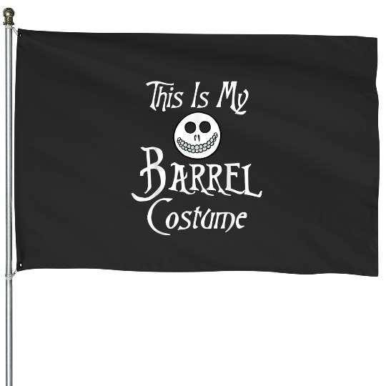 Discover Disney Nightmare Before Christmas Halloween Barr House Flags