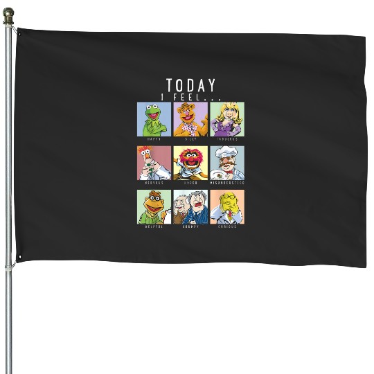 Disney The Muppets Today I Feel Box Up House Flags