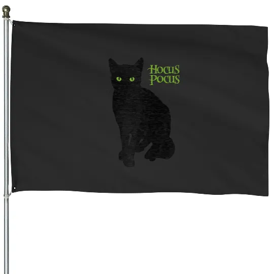 Disney Hocus Pocus Thakery Binx Halloween Raglan House Flags
