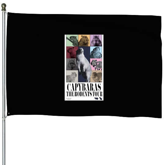 Eras Tour House Flags