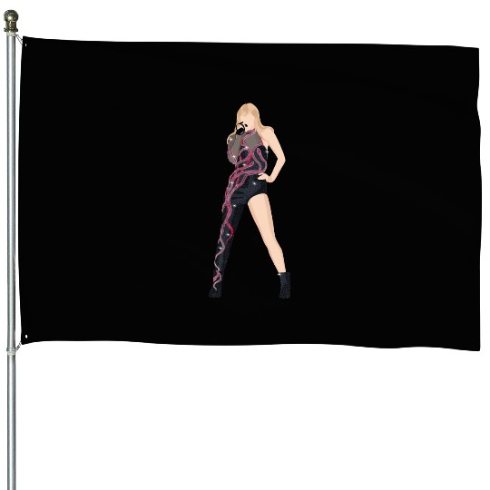 reputation eras tour House Flags