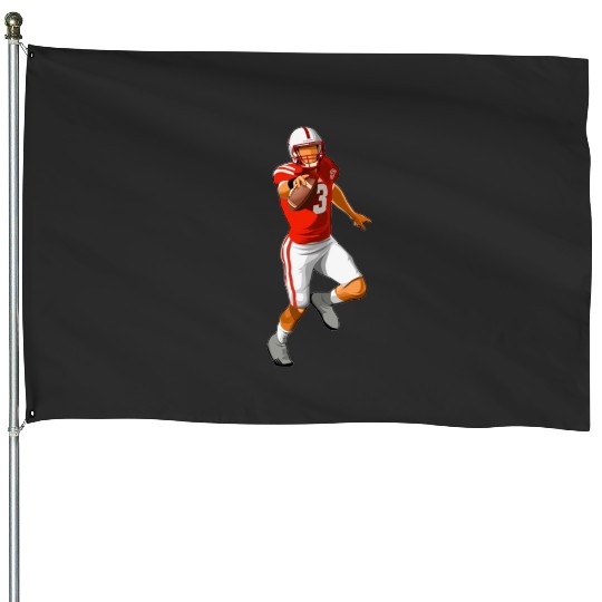 Discover -Taylor-Martinez 3 Runs House Flags