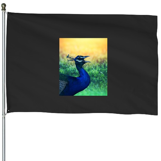 Disney-Up Shirt, Kevin Up Shirt, Up Balloon Shirt, Disney-Balloon House Flags