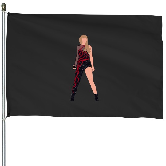 Eras Tour Night One Reputation Glendale Arizonna House Flags