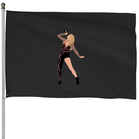 reputation eras tour House Flags