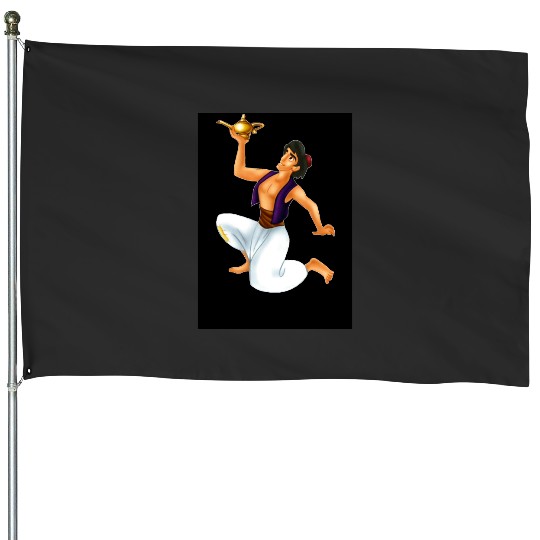 Aladdin Disneys House Flags